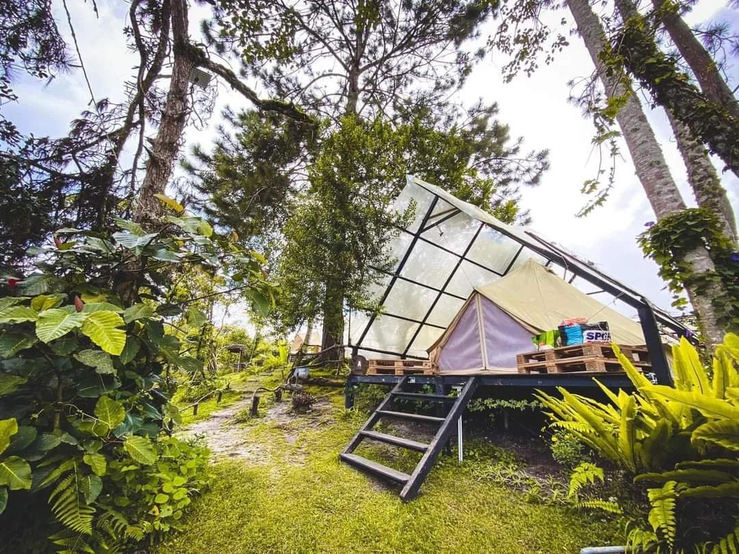 Glamping in Cameron Highlands