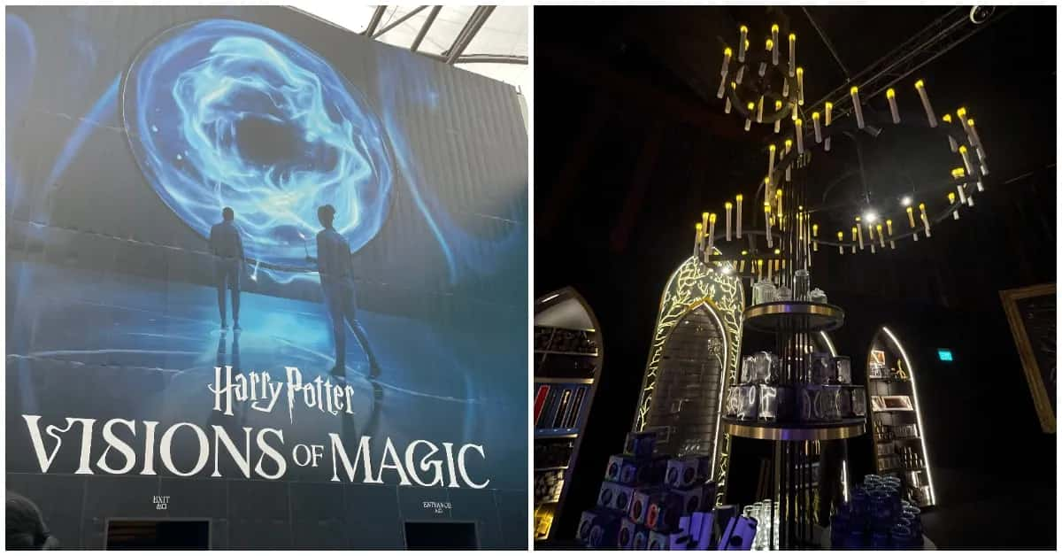 A Wizard for a Day at Harry Potter: Visions of Magic