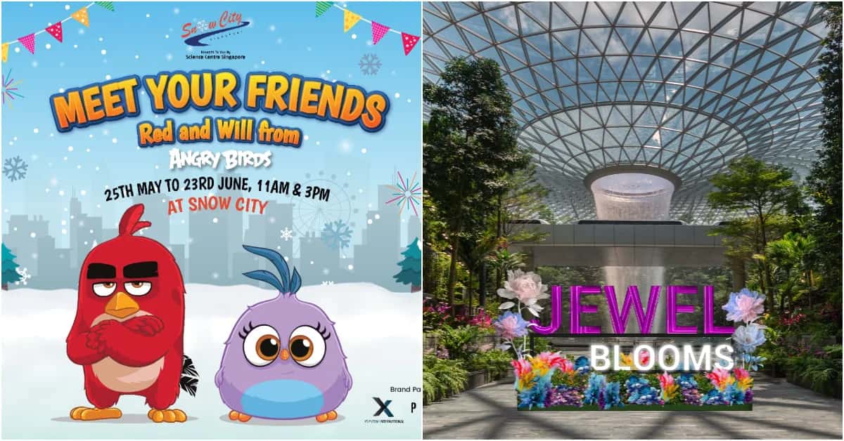 8 Best Things To Do In Singapore This 2024 June School Holidays